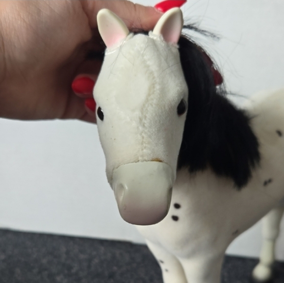 American Girl Foal - Picture 5 of 6